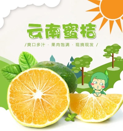 云南品牌水果加盟店推荐—探秘热门加盟品牌