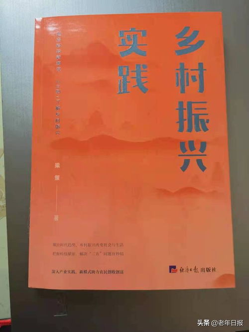 乡村振兴队伍管理的三把金钥匙，制度、赋能、监督
