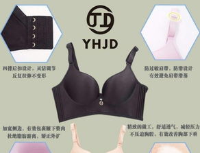 二线内衣加盟品牌推荐及案例分析