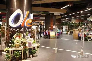 商场清仓玩具品牌全解析，哪些品牌值得关注？