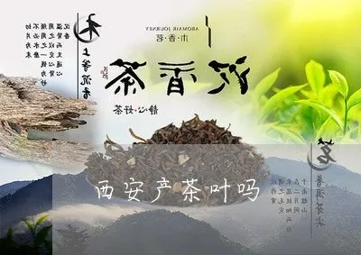 西安茶叶品牌加盟店推荐