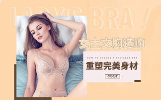 中低档内衣加盟品牌推荐，优质选择多，案例分析告诉你哪些品牌好