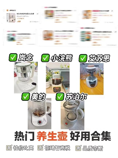 养生壶加盟店热门品牌推荐