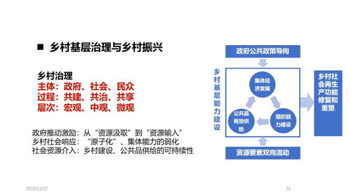 乡村振兴的破局之道，创新路径与典型案例分析