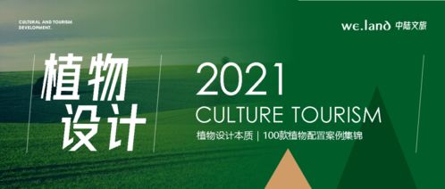 乡村振兴的破局之道，创新路径与典型案例分析
