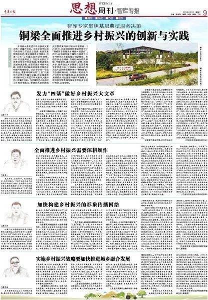 乡村振兴的破局之道，创新路径与典型案例分析