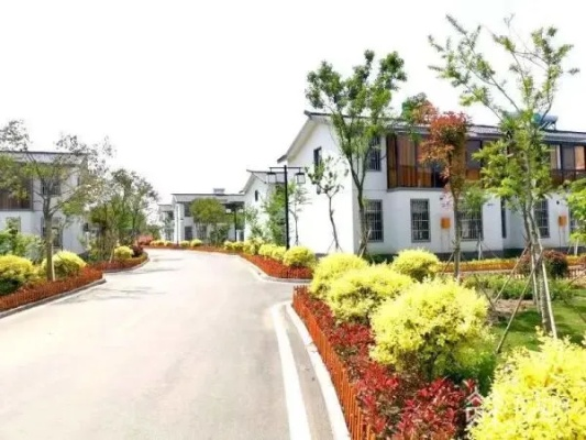 美丽乡村宜居建设，从环境到文化的五个关键突破
