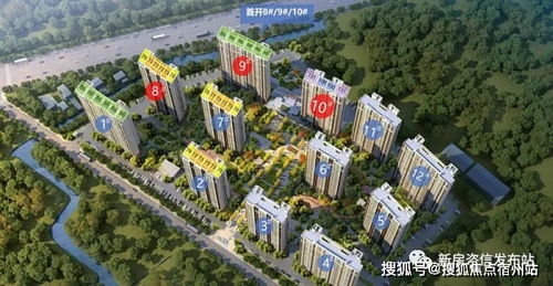 2米x1.5米鸭绒被价格全解析，从选购到保养的实用指南