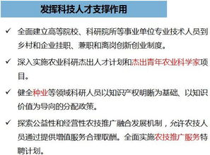 乡村振兴战略思维升级指南，从理论到实践的四大关键路径