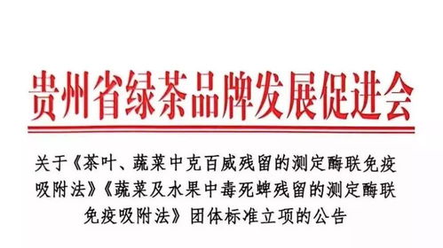 浙江医药品牌—守护生命之源的传奇