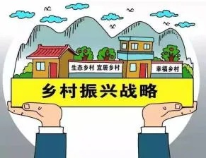 乡村振兴局在乡镇的布局策略与成效，从一张蓝图到满园春色