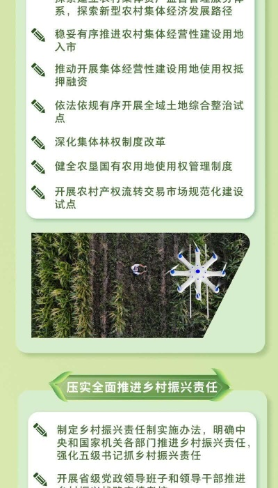 乡村振兴局在乡镇的布局策略与成效，从一张蓝图到满园春色