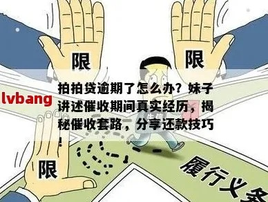 求黑客高手帮忙追款，风险与陷阱全解析（附真实案例与应对指南）