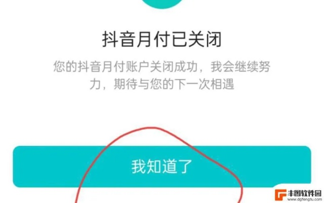 抖音月付暂不支持取现，用户该如何应对？