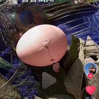 抖音月付攒钱，轻松提现小秘诀！