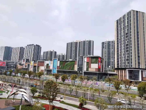 河南户外热像仪品牌大揭秘