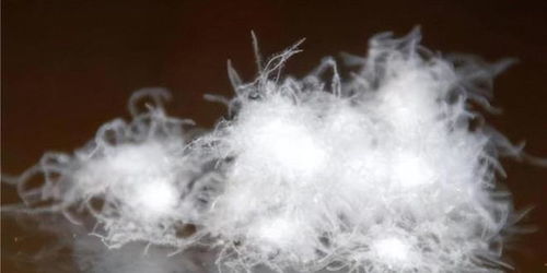 几百块的鸭绒被到底行不行？价格低≠质量差，这些秘密你肯定不知道！
