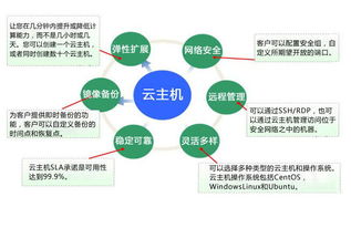 VPS云服务器 vs 物理机，企业上云的终极选择指南