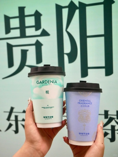 贵阳鲜茶加盟品牌店推荐