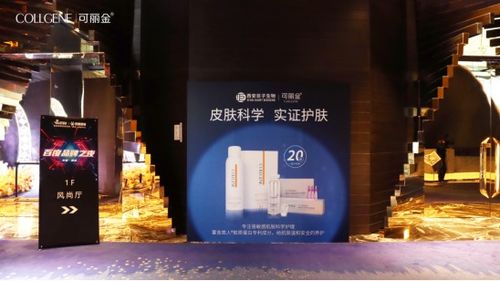 北流陶瓷品牌全解析，从传统到现代的陶然之旅