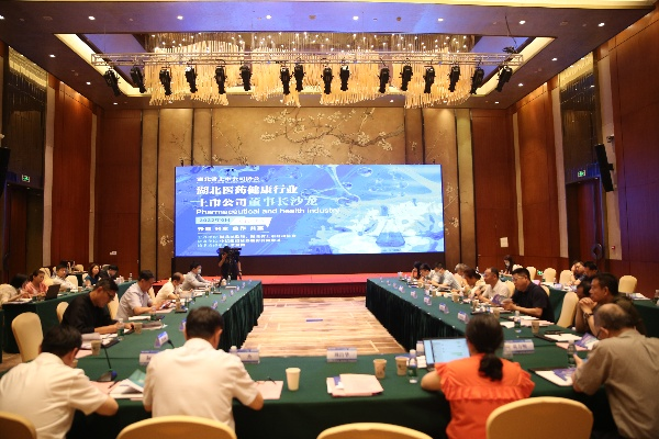 医药品牌宣传分析会议