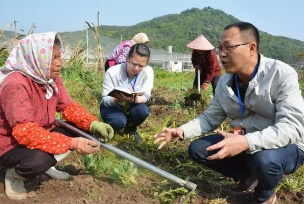 乡村干部践行四个意识，筑牢基层治理根基的实践路径