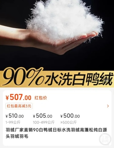 上海鸭绒被价格全解析，从选购技巧到市场趋势，手把手教你避坑省钱