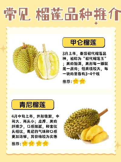 印尼榴莲加盟店热门品牌一览