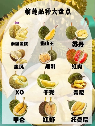 印尼榴莲加盟店热门品牌一览