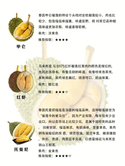 印尼榴莲加盟店热门品牌一览