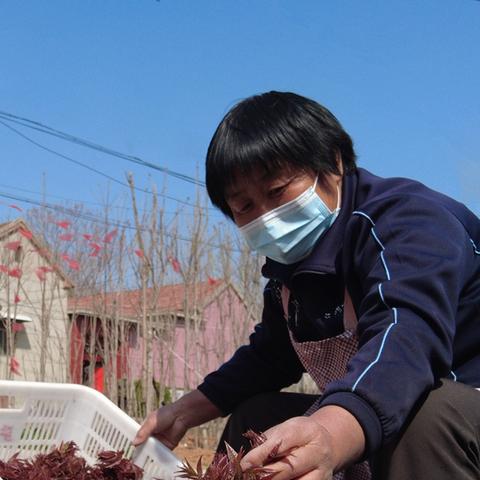 邹平抖音月付套出来的真相揭秘