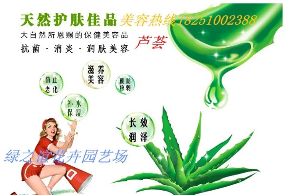 芦荟种植加盟商热门品牌一览