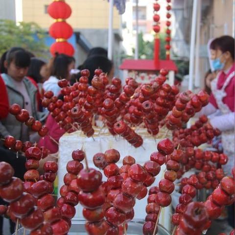 宁南县乡村幼儿园现状调查，硬件设施、师资力量与教育质量的多维透视