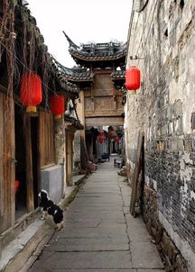 古都焕新颜，太原乡村旅游品牌打造全攻略