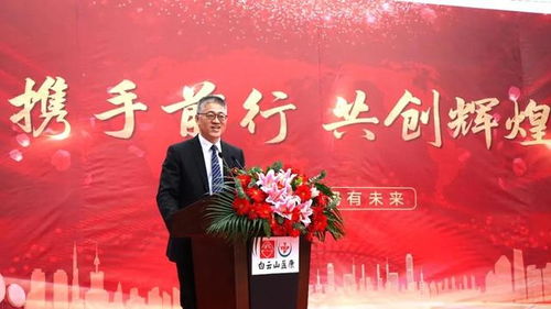 共创辉煌，携手前行