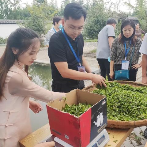 让乡村文化活起来，三步走打造有根有魂的新农村