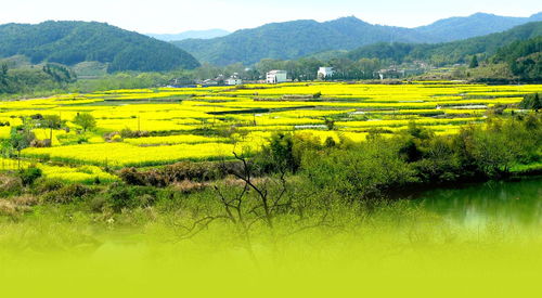 乡村旅游如何做好富民经济，从资源到钱包的实战指南