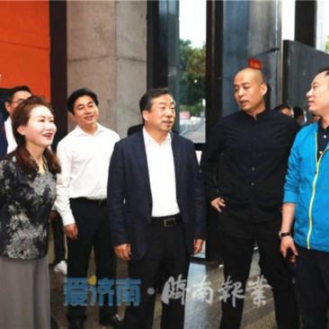 医药品牌策划有限公司，塑造行业先锋，引领创新未来