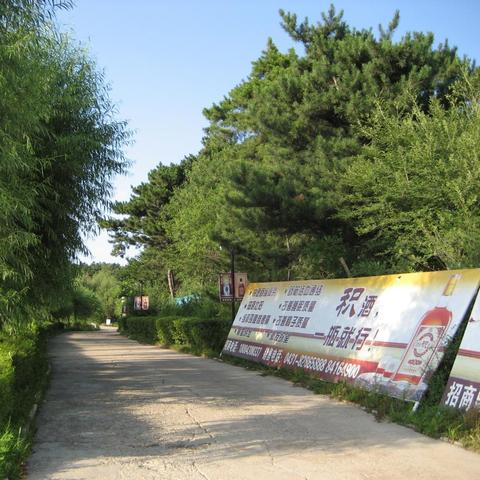 东北老酒江湖，从北大白酒看关东酒文化