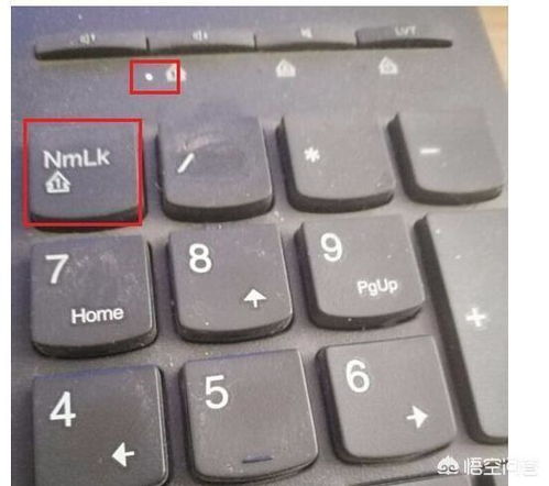 电脑键盘品牌排序图