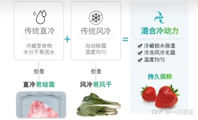 不用冷冻剂的冰箱品牌全解析，环保新选择与使用指南