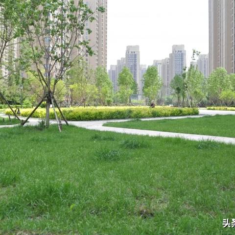 哈尔滨户外板材品牌精选