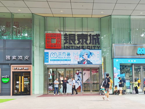 新泰银座家居商场品牌介绍