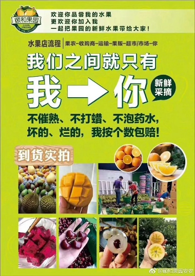 榆次水果加盟店品牌推荐及案例分析