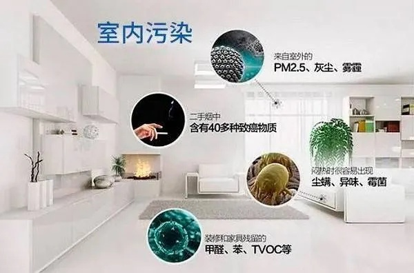 揭秘甲醛高居榜首的家居品牌