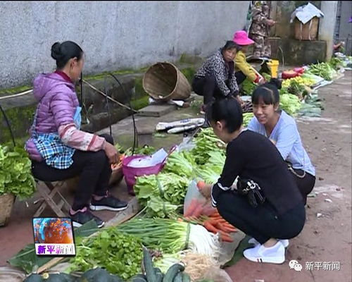 乡村夜市整治乱象三步走，从管摊贩到建生态