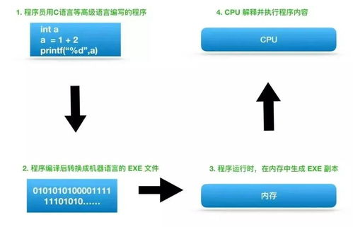 物理服务器CPU核心数与性能的博弈，如何选对核心数不踩坑
