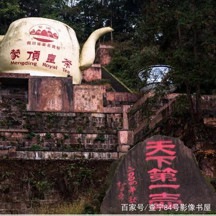 贵州全季茶叶，从深山到舌尖的绿色传奇