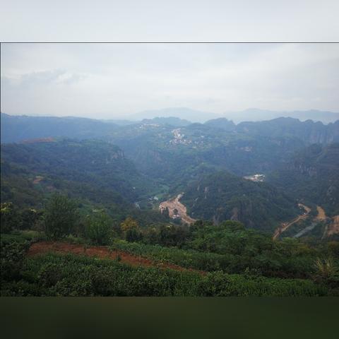 贵州全季茶叶，从深山到舌尖的绿色传奇