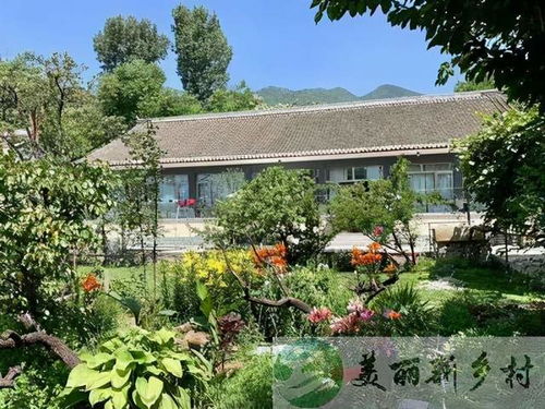 乡村养老院，低成本高温度的银发生活新选择